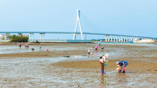 海南赶海爆料网站大全最新,探索海滩的秘密宝藏