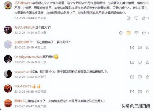陈晨爆料假球视频播放,真相大白，足球界再掀波澜